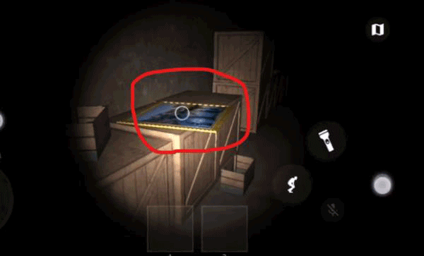 THE GHOST
