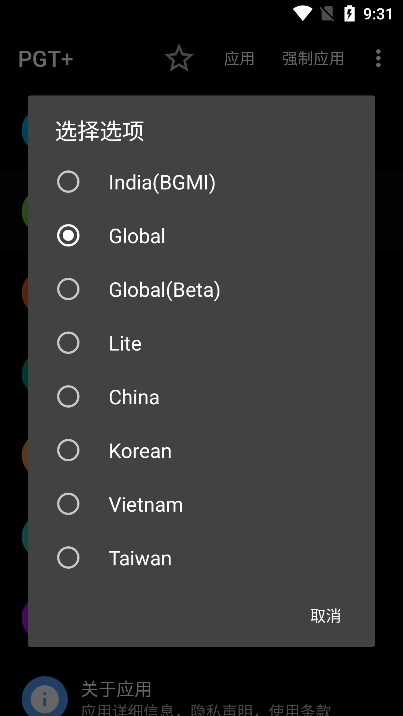pgt画质修改器最新版截图2