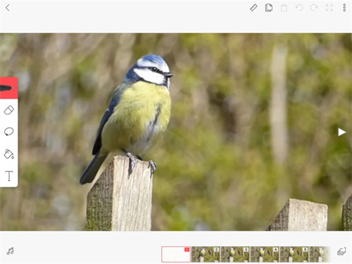 flipaclip动画制作