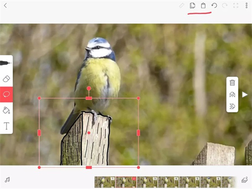 flipaclip动画制作