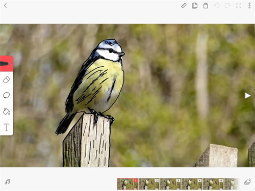 flipaclip动画制作