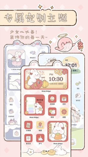 鲸鱼小组件官方版3