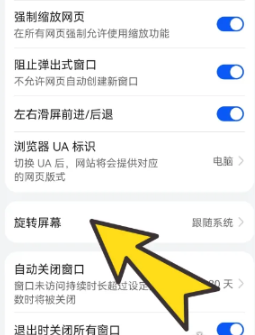 bobo浏览器无国界