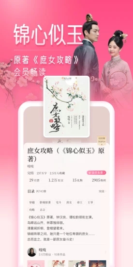 红袖添香小说截图0
