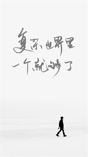 预览图4