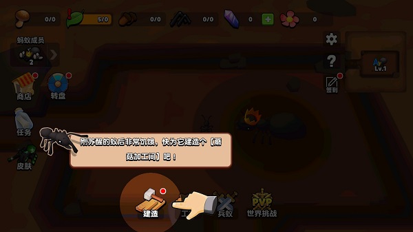 蚂蚁进化