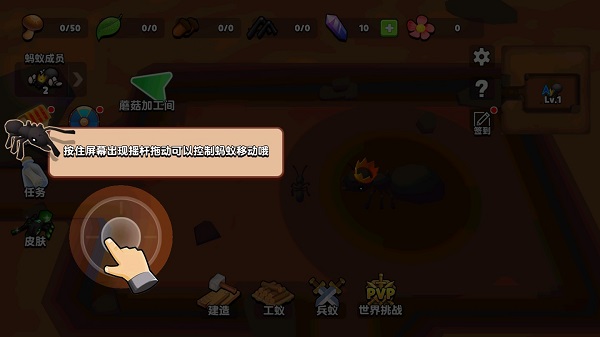 蚂蚁进化