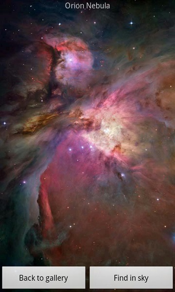 谷歌星空地图截图1