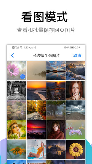 黑狮手机浏览器截图3