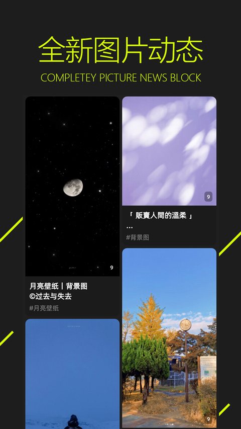 预览图4