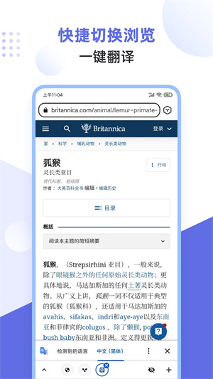预览图4