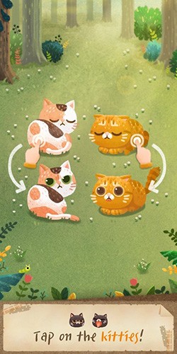 猫咪的秘密森林1