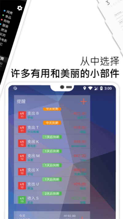 bluecoins高级版1