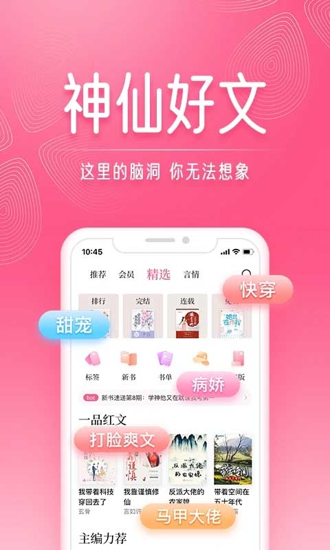 预览图2