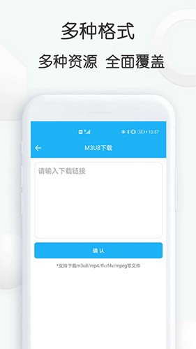 云雀idm截图4
