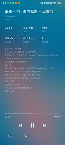salt player截图1