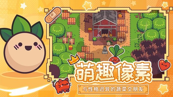 大头菜菜历险记完整版截图2