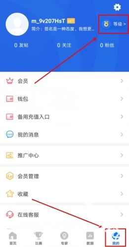 v站