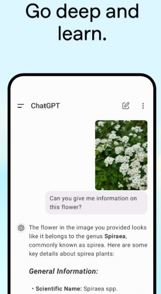 免费ChatGPT截图2