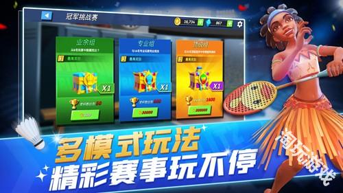 决战羽毛球国际服