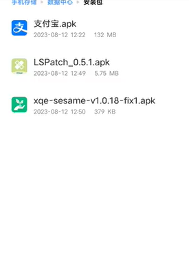 lspatch截图1