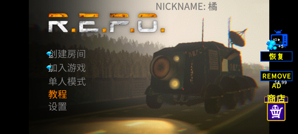 REPO1