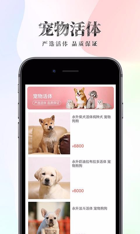 波奇宠物截图3