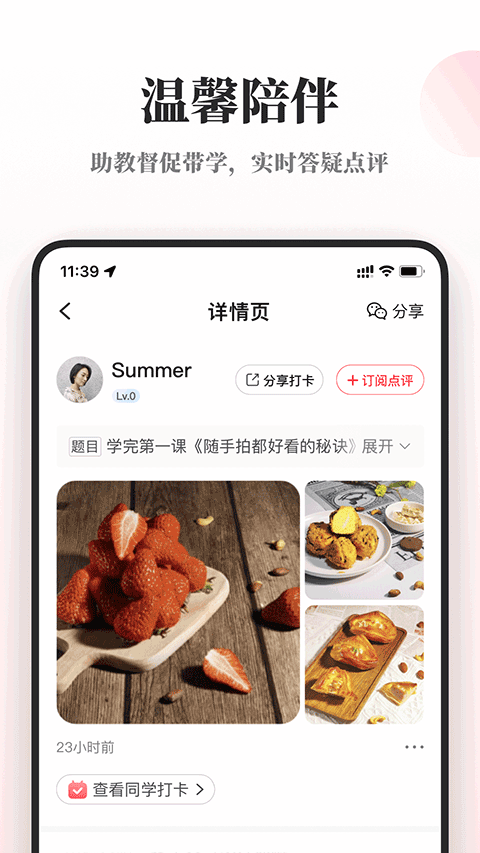 预览图4