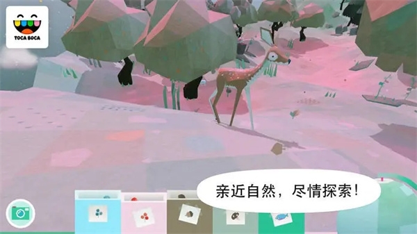 托卡大自然官方正版