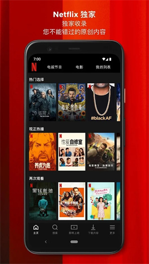 Netflix中文版1