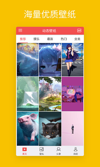 预览图4