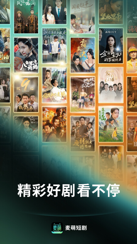 预览图5