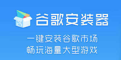 谷歌安装器