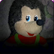 刺猬的五夜后宫